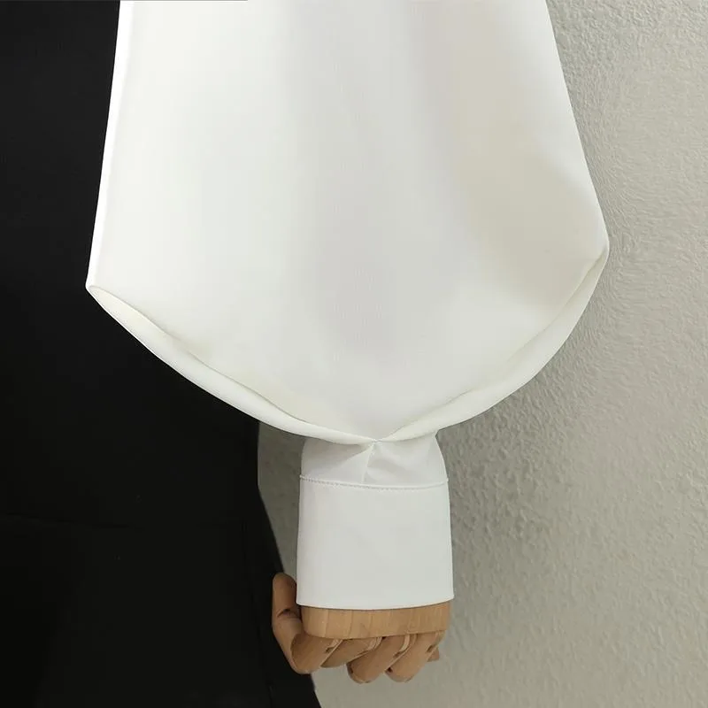 Blouses Tops Women White Black Long Lantern Sleeve Office Lady Temperament Autumn Winter Basic All-match Design Chic Female New - Image 6